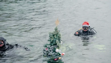 Photo of Накитена и подводната новогодишна елка во Охридското езеро