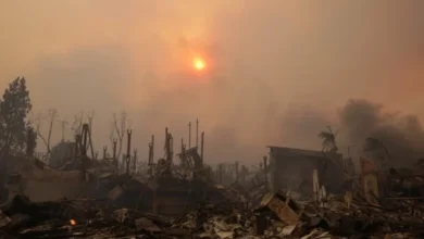 Photo of Во пожарите во Лос Анџелес досега загинале 16 лица