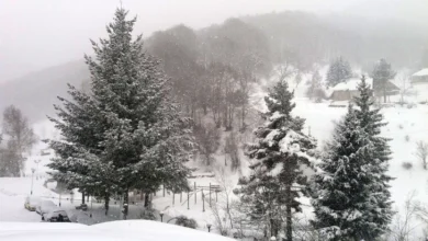 Photo of Студено време и врнежи од снег, пообилни во западните делови од земјава