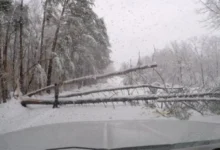 Photo of Најмалку 10 мртви во снежна бура на југоистокот на САД