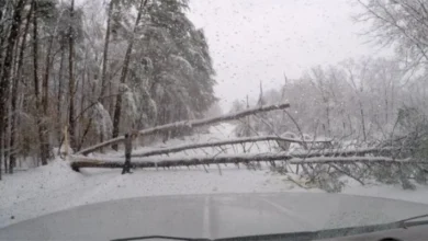 Photo of Најмалку 10 мртви во снежна бура на југоистокот на САД