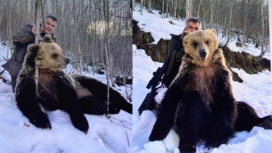 Photo of Анима Мунди: Дали Дранго има забрана за користење оружје и истото му е одземено во предходна постапка?