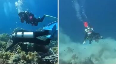 Photo of ВИДЕО: Еве како изгледа кога ќе се најдете под вода среде земјотрес со јачина од 6,9 степени