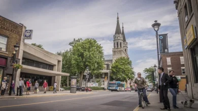 Photo of Нов Зеланд го отпушти својот амбасадор во Британија поради критички коментари за Трамп