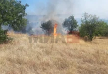 Photo of Лишени од слобода две лица поради предизвикување пожари во Прилеп и Ресен