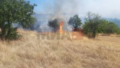 Photo of Лишени од слобода две лица поради предизвикување пожари во Прилеп и Ресен