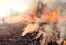 Photo of (Видео)Пожар беснее кај Струмица