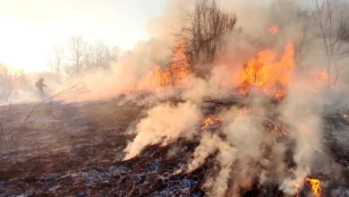 Photo of (Видео)Пожар беснее кај Струмица