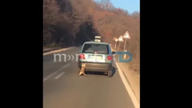 Photo of ВОЗНЕМИРУВАЧКО ВИДЕО: Штипјанец малтертира мачка – ја влече со својот автомобил