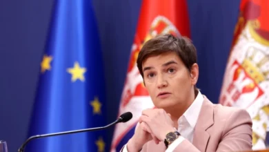 Photo of Брнабиќ: Здравствената состојба на Вучиќ е сериозно нарушена, примен е на ВМА