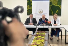 Photo of Клековски би прифатил да биде министер за здравство, но со соодветна замена во ФЗО