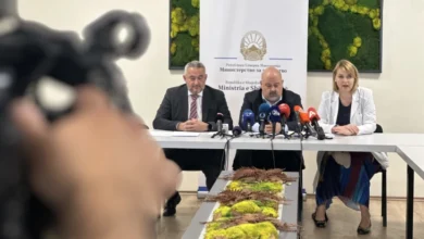 Photo of Клековски би прифатил да биде министер за здравство, но со соодветна замена во ФЗО