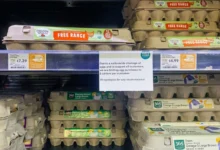 Photo of Американска живеачка: Плати од 55.000 долари, леб два долара, млеко еден долар…
