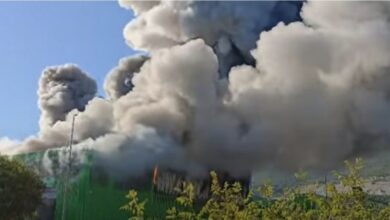 Photo of Видео: Драма во Хрватска: Избувна огромен пожар, се слушаат експлозии
