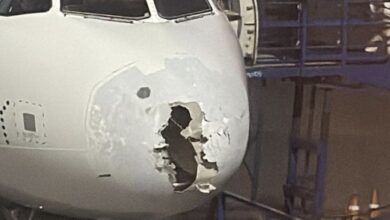 Photo of ВИДЕО: Силно невреме погоди авион сред лет, патниците се молеа за своите животи