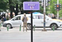 Photo of Нова улица во центарот на Скопје – виолетова улица Bestie