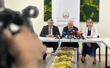 Photo of Од утре тим специјалисти ќе ја утврдува состојбата на секој пациент од пожарот во Кочани и потребата од натамошна рехабилитација и помагала