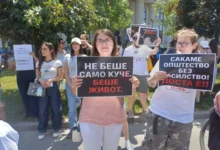 Photo of Во Скопје се одржа протест за кучето Феликс, граѓаните бараат правда и затвор за убијците на животни