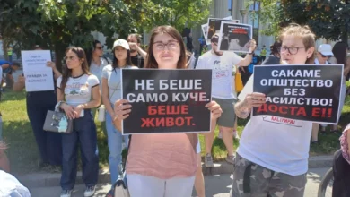 Photo of Во Скопје се одржа протест за кучето Феликс, граѓаните бараат правда и затвор за убијците на животни