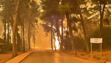 Photo of Шумски пожари на грчките острови Хиос и Евија, евакуирани населени места и хотел