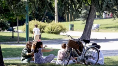 Photo of Претежно сончево со засилен ветер од северен правец