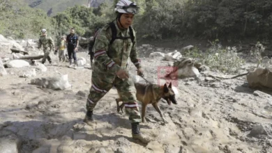 Photo of Се зголемува бројот на загинати во свлечиштето во северозападна Колумбија