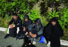 Photo of Царина со полни раце работа – запленети 540 шишиња вино, 49 штеки цигари скриени во цистерна…