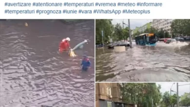 Photo of Невреме во Букурешт: Поплави, соборени дрвја и доцнења на летови
