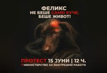 Photo of Протест пред МВР поради случајот „Феликс“