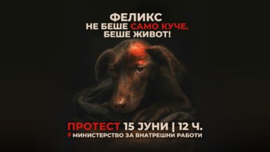 Photo of Протест пред МВР поради случајот „Феликс“