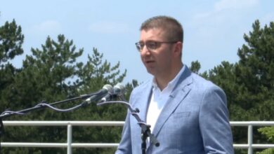 Photo of Црешите годинава доживеаја елементарна непогода и затоа се скапи, вели Мицкоски