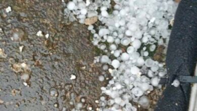 Photo of Паднати дрва и поплавени булевари од невремето во Скопје