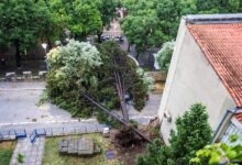 Photo of (ГАЛЕРИЈА) Дрвја паѓаа врз туристи во кампови во Ровињ и Пула, едно лице на интензивна