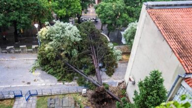 Photo of (ГАЛЕРИЈА) Дрвја паѓаа врз туристи во кампови во Ровињ и Пула, едно лице на интензивна