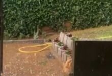 Photo of ВИДЕО: Невреме со силен дожд и град го зафати Скопје попладнево