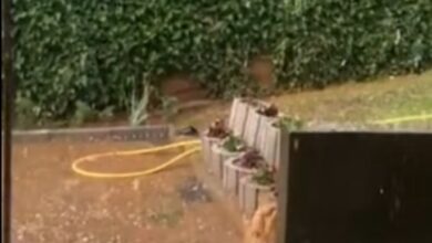 Photo of ВИДЕО: Невреме со силен дожд и град го зафати Скопје попладнево