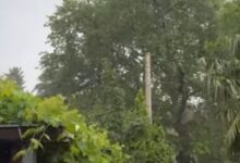 Photo of Видео: Невреме во Дојран- оштетени се овоштарници, жителите пријавуваат проблеми со струјата и со мобилната мрежа