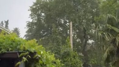 Photo of Видео: Невреме во Дојран- оштетени се овоштарници, жителите пријавуваат проблеми со струјата и со мобилната мрежа