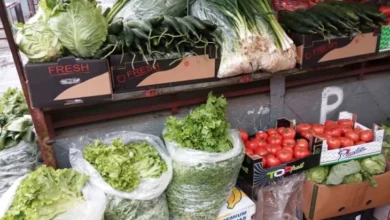 Photo of „Македонско најдобро“ – кампања за купување домашни земјоделски производи и преработки