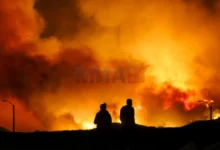 Photo of Голем шумски пожар во Калифорнија, гувернерот Њусом вината ја префрла на Трамп и го обвини за некомпетентност
