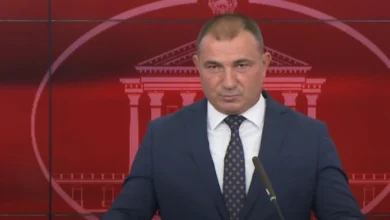 Photo of Ангелов: Состојбата со пожарите не е алармантна, посериозен е кај Блаце каде што проблем се теренот и ветрот   