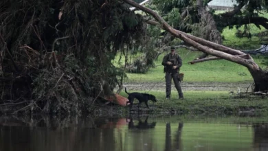 Photo of Потврдена смртта на 27 девојчиња и воспитувачи во кампот „Мистик“ по поплавите во Тексас