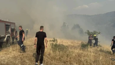 Photo of МВР: Поради пожар целосно прекинат сообраќајот кон Граничниот премин Блаце