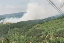Photo of Имаме докази и приведени лица за подметнати пожари со координирана и добро осмислена акција, вели Мицкоски