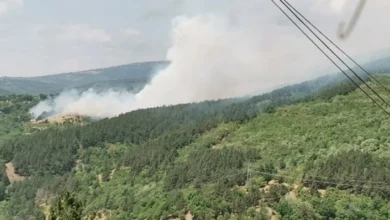 Photo of Имаме докази и приведени лица за подметнати пожари со координирана и добро осмислена акција, вели Мицкоски