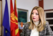Photo of Арсовска  објави фотографија од напаѓачот  и го обвини МВР