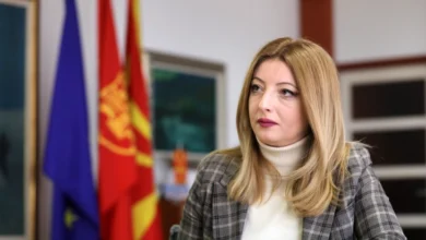 Photo of Арсовска  објави фотографија од напаѓачот  и го обвини МВР