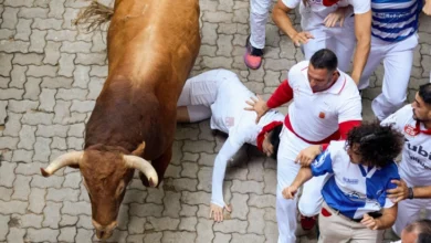 Photo of Петмина повредени на шестата трка со бикови во Памплона