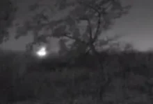 Photo of Пријавен случај на подметнување пожар во Делчево