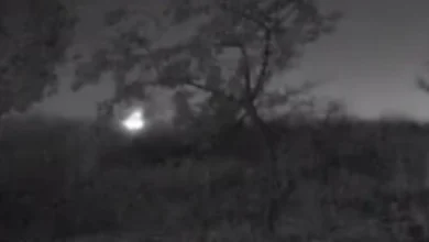 Photo of Пријавен случај на подметнување пожар во Делчево